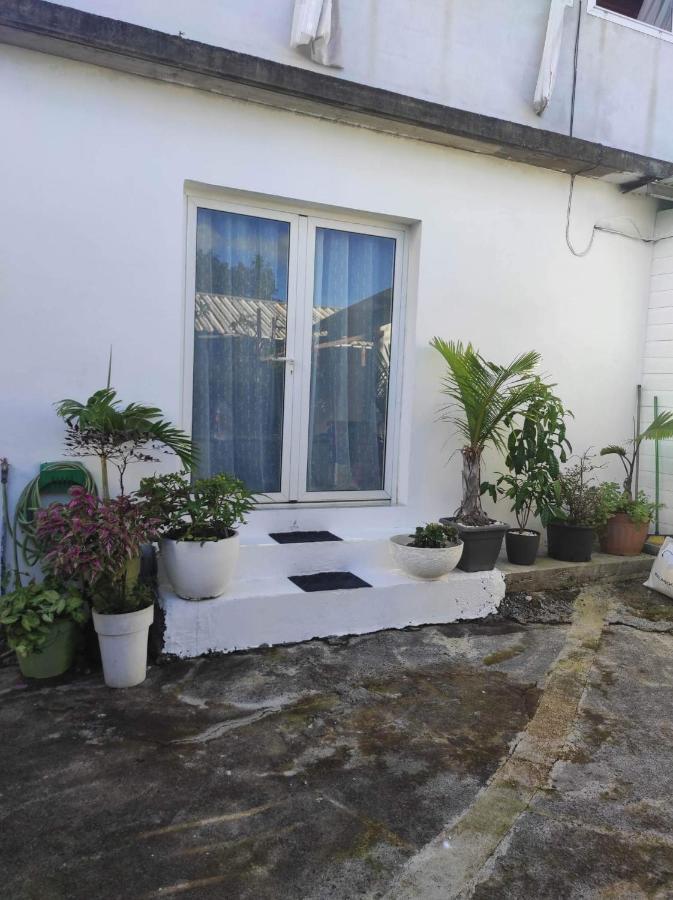 Location Saisonniere Les Bibassiers Apartment Льо Тампон Екстериор снимка